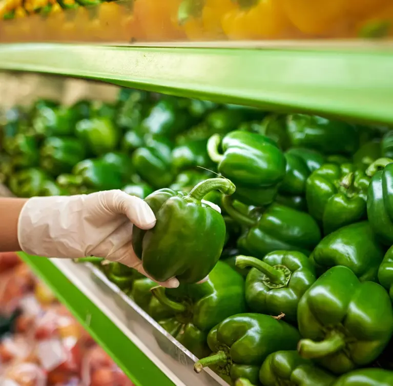Advanced crop protection solutions designed to safeguard crops from pests, diseases, and harmful weeds while improving plant health, farming productivity, and sustainable agricultural growth effectively.