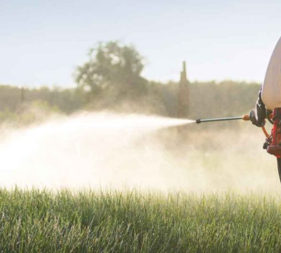 High-quality insecticide solutions formulated to control harmful crop insects while supporting healthy plant growth, better crop protection, and improved agricultural productivity for modern farming.