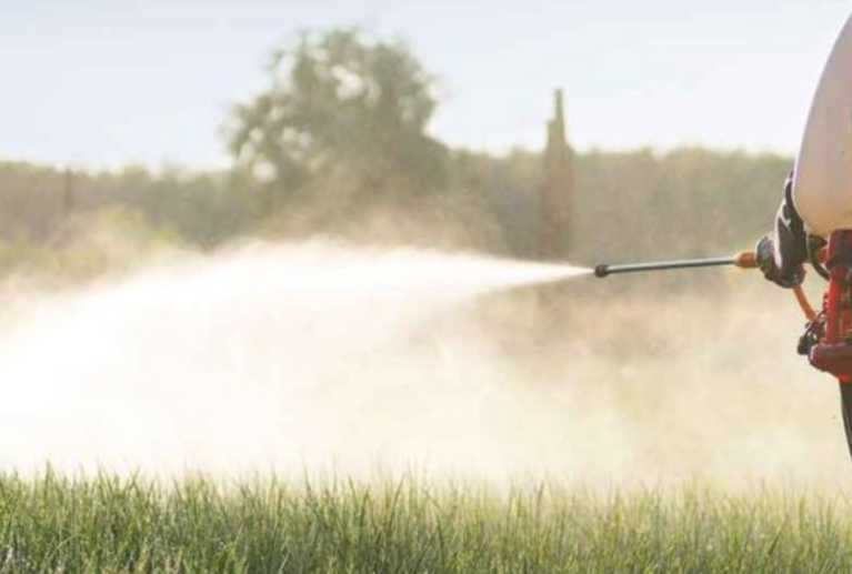 High-quality insecticide solutions formulated to control harmful crop insects while supporting healthy plant growth, better crop protection, and improved agricultural productivity for modern farming.