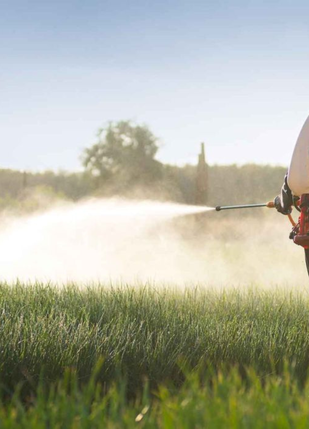 High-quality insecticide solutions formulated to control harmful crop insects while supporting healthy plant growth, better crop protection, and improved agricultural productivity for modern farming.