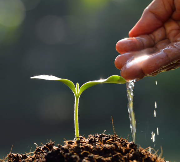 Premium water soluble product solutions formulated to improve nutrient absorption, strengthen plant growth, and support healthy crops with advanced agricultural nutrition benefits effectively.