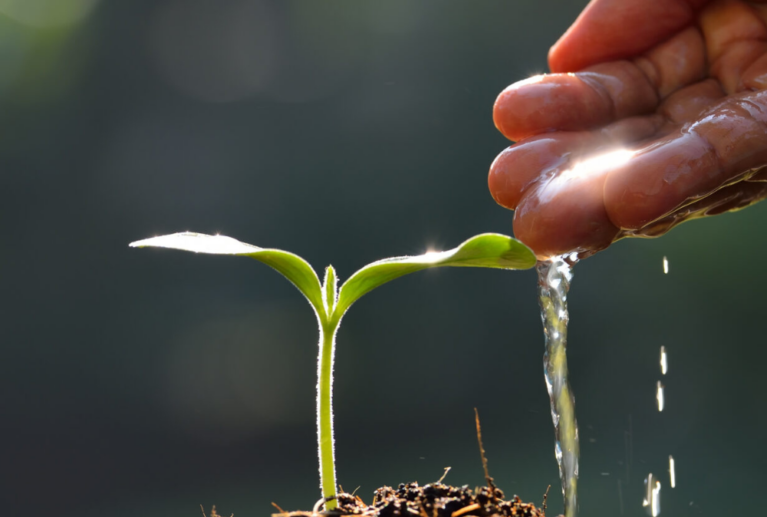 Reliable fungicide solutions developed to prevent crop diseases, protect plant health, and maintain strong agricultural productivity with effective and long-lasting farming protection support.