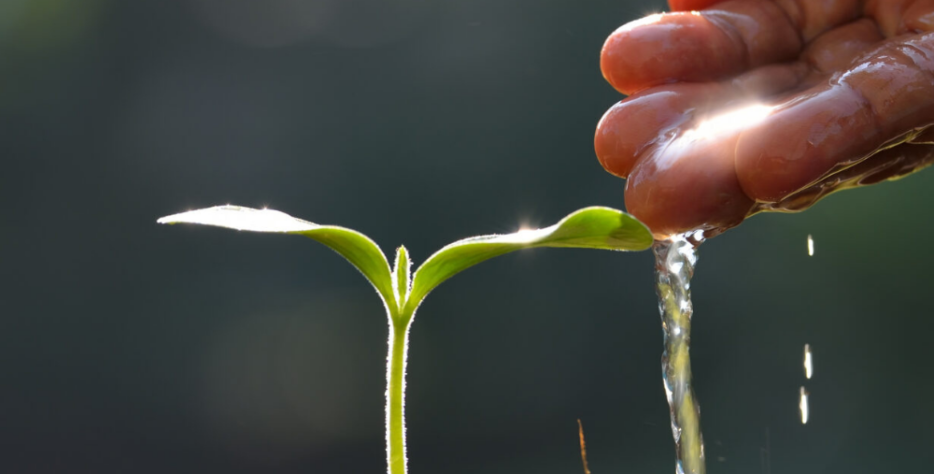 Reliable fungicide solutions developed to prevent crop diseases, protect plant health, and maintain strong agricultural productivity with effective and long-lasting farming protection support.