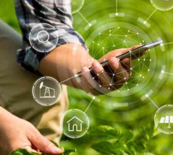 Effective herbicide and weed control solutions designed to manage unwanted weeds while improving field cleanliness, crop protection, and overall agricultural farming performance efficiently.