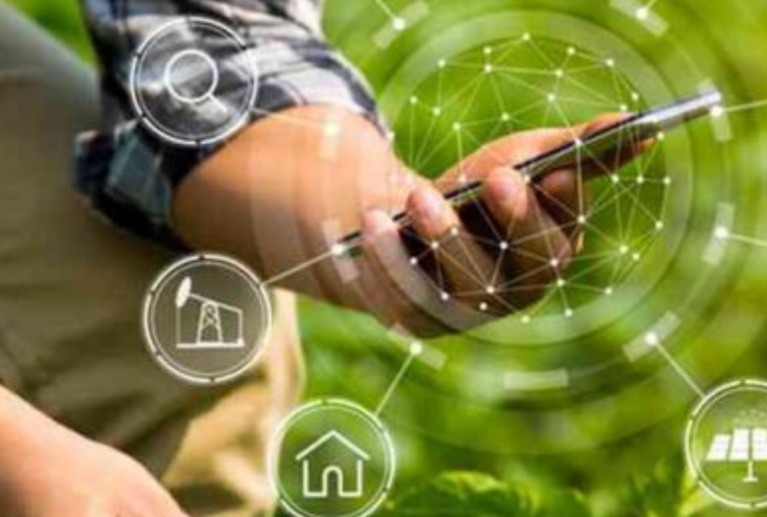 Effective herbicide and weed control solutions designed to manage unwanted weeds while improving field cleanliness, crop protection, and overall agricultural farming performance efficiently.