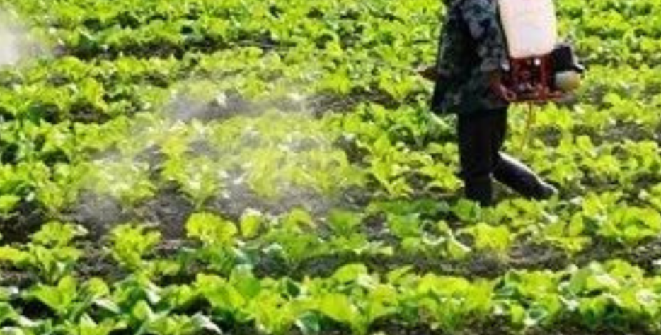 Professional agrochemical product sales and distribution services delivering trusted agricultural solutions, quality farming products, and reliable supply support for modern agricultural businesses.